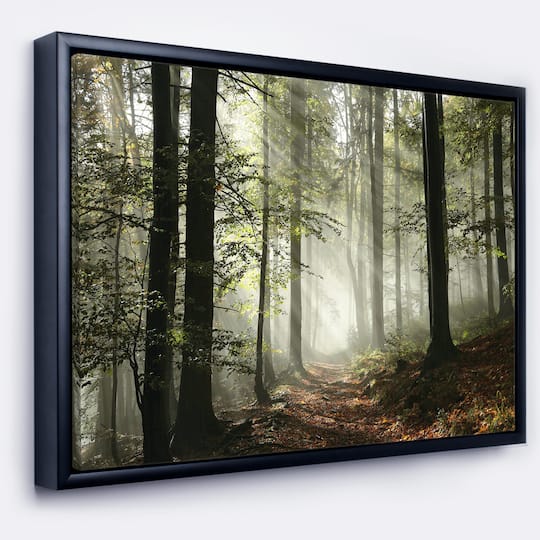 Designart - Light in Dense Fall Forest with Fog